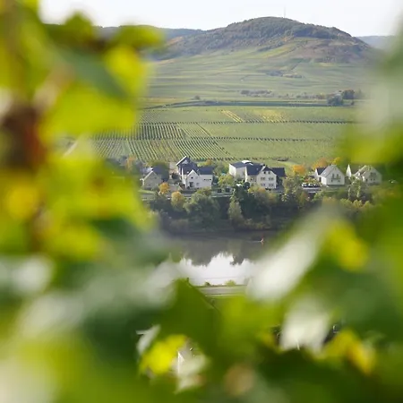 公寓 Wein & Gaestehaus Porten-becker Köwerich