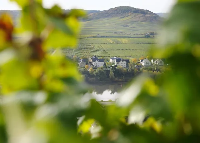 Appartement Wein & Gaestehaus Porten-becker Köwerich